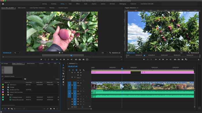 Adobe After Effects 2024 indirme sayfası ekran görüntüsü
