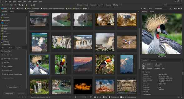 Adobe Bridge 2025 indirme sayfası ekran görüntüsü