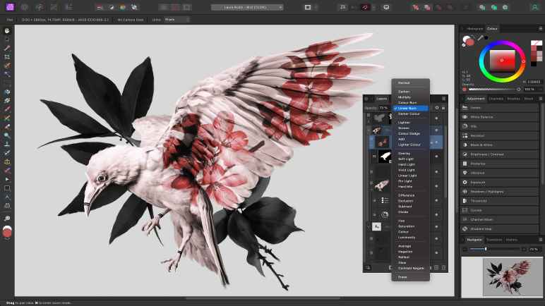 Canva Affinity indirme sayfası ekran görüntüsü