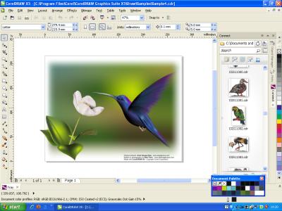 CorelDraw Graphic Suite X5 Full 15.2.0.695 Sp3 indirme sayfası ekran görüntüsü