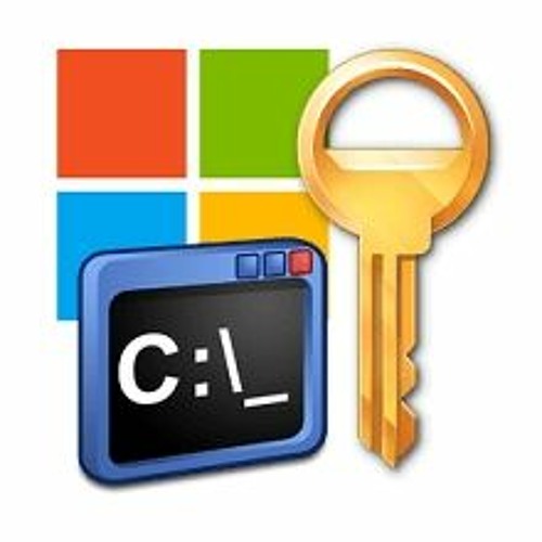 Microsoft Activation Scripts ekran görüntüsü 2