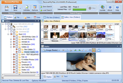 Recovery Myfiles Professional indirme sayfası ekran görüntüsü