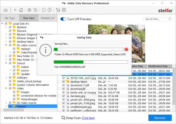 Stellar Data Recovery Pro Full indirme sayfası ekran görüntüsü