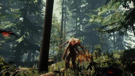 The Forest ekran görüntüsü 3