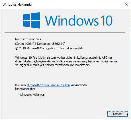 Windows 10 PRO 1903 Orjinal MSDN Türkçe 32×64 bit indirme sayfası ekran görüntüsü