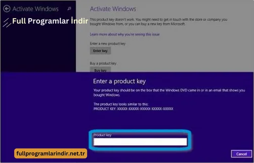 windows 8.1 pro indir