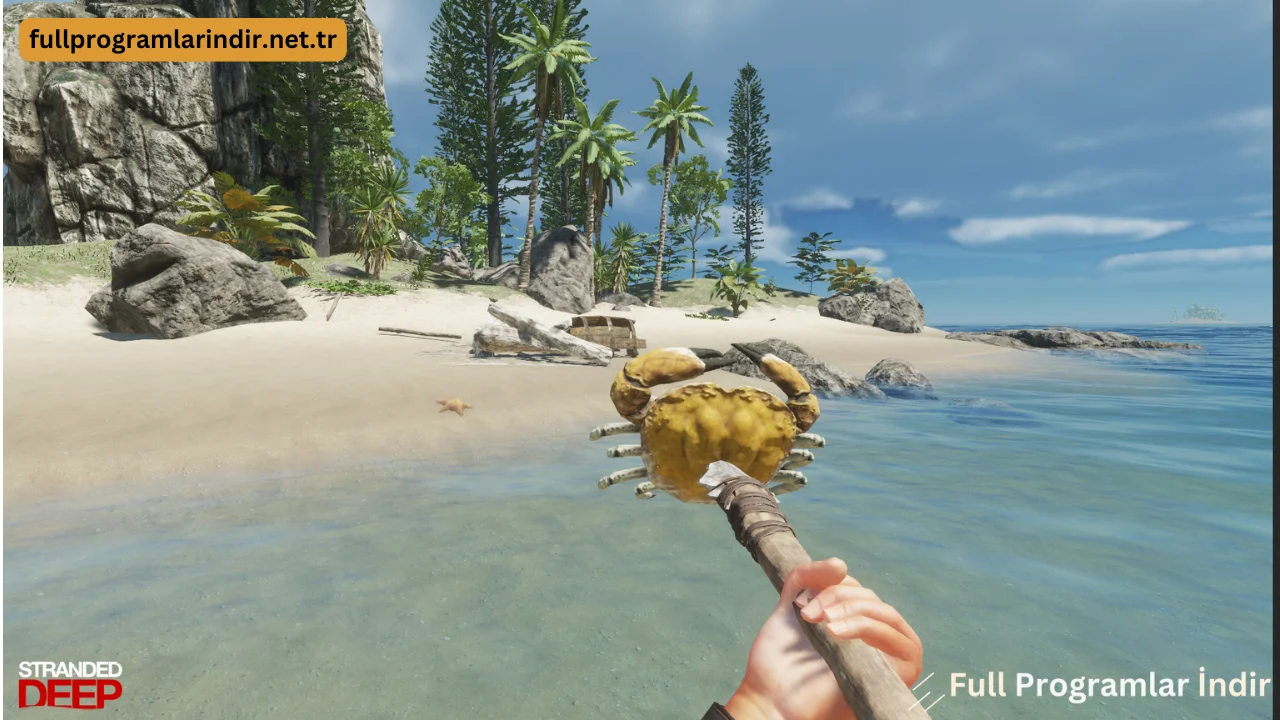 stranded deep sistem gereksinimleri