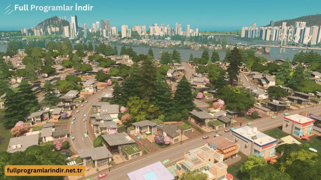 cities skylines indir