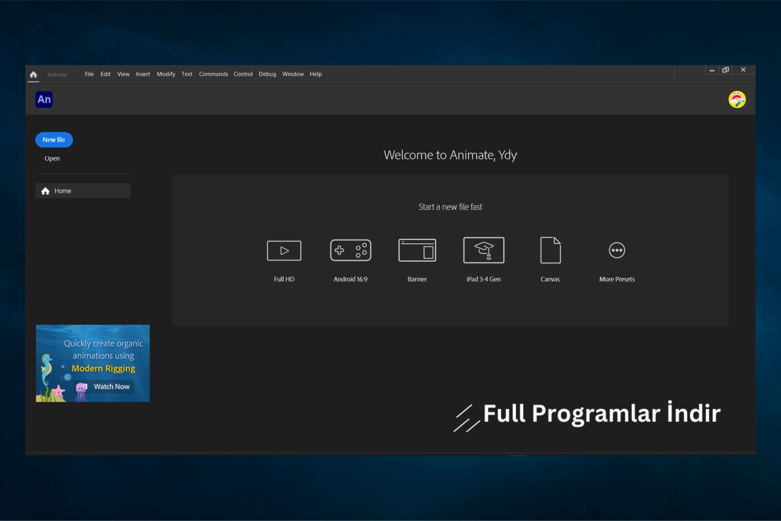 Adobe Animate 2024 full indir