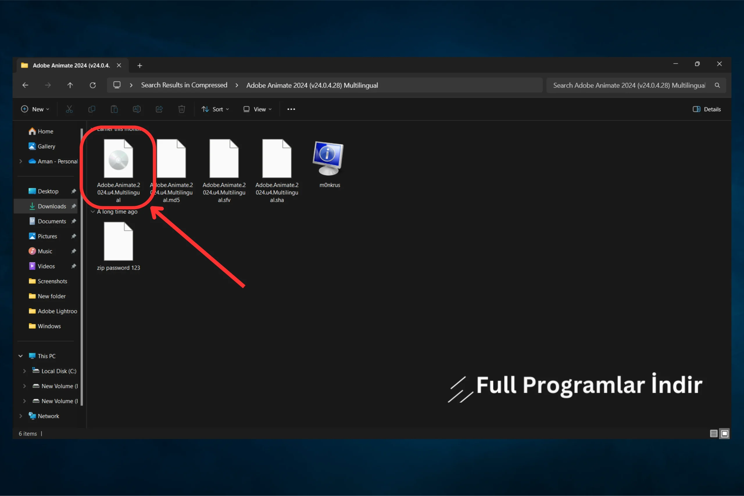 Adobe Animate indir
