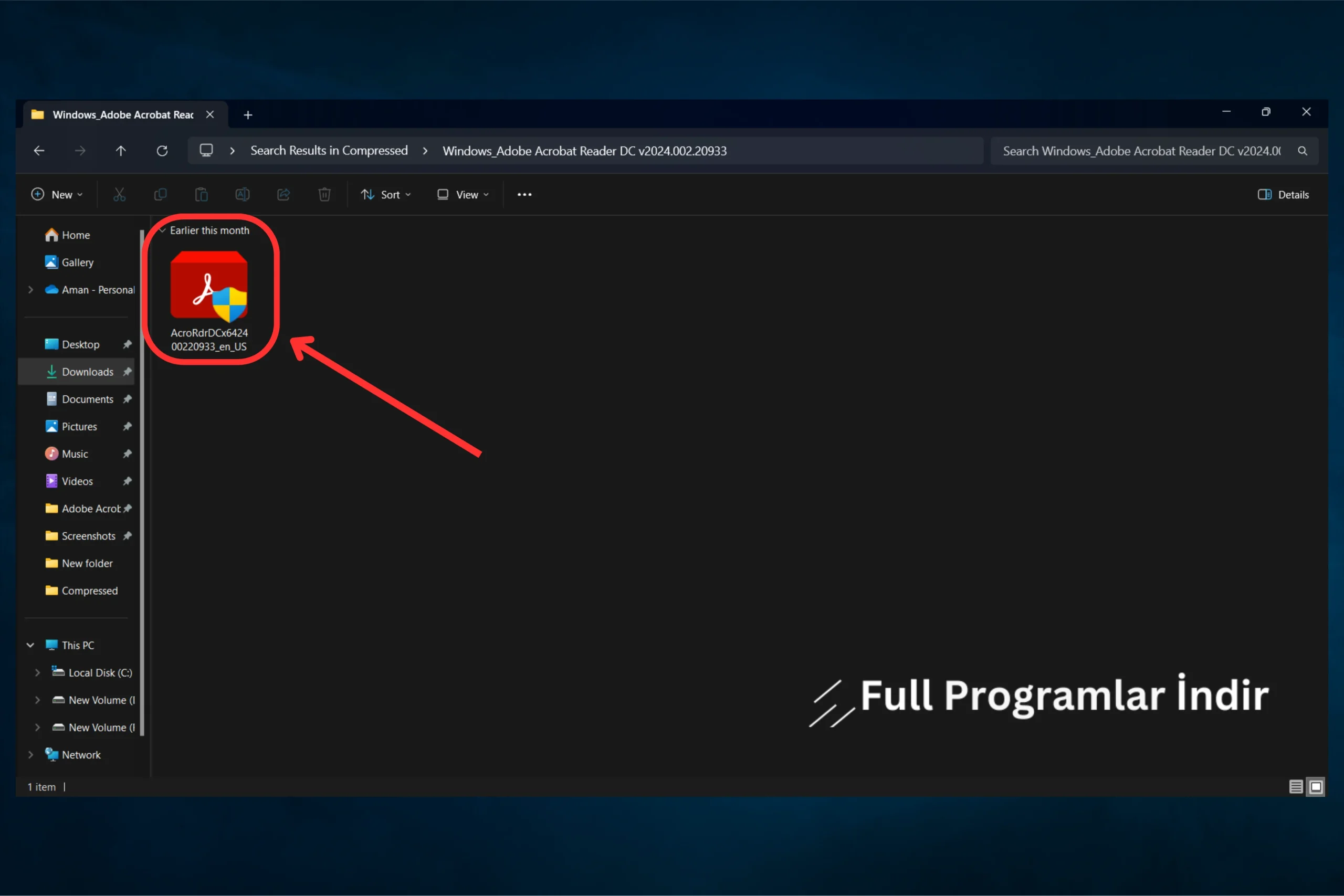 Adobe Reader DC indir