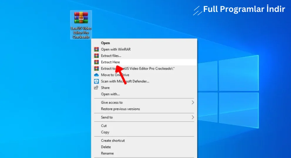 easeus video editor indir