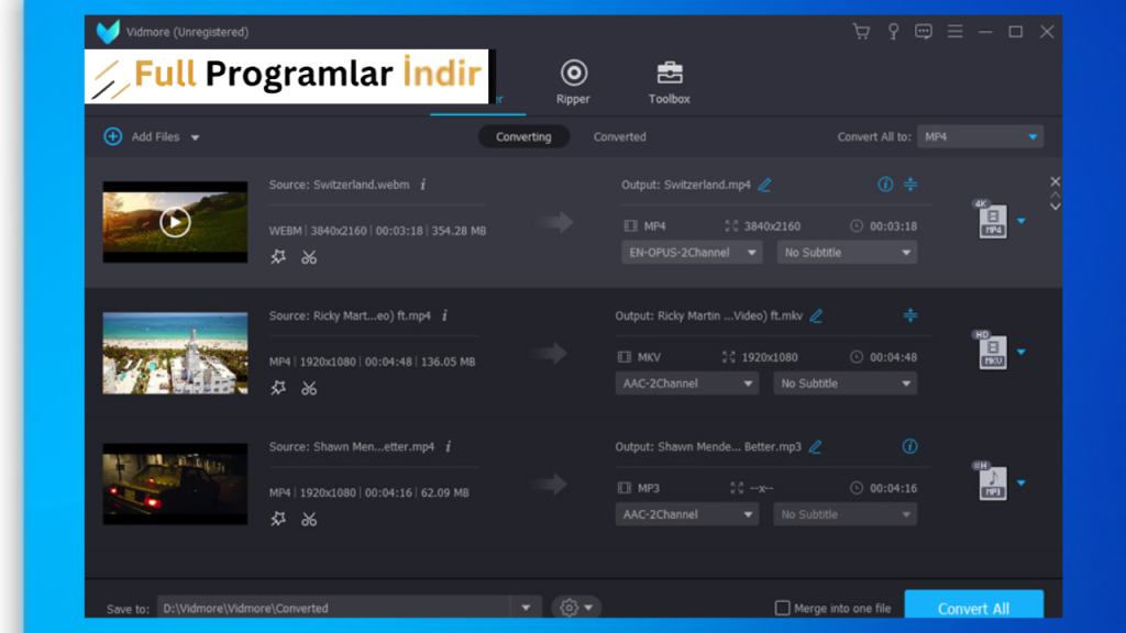 Vidmore Video Converter