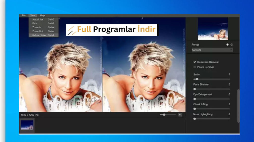 WidsMob Portrait Pro
