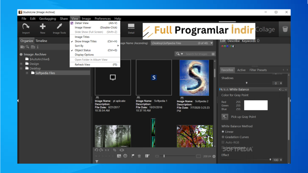 StudioLine Web Designer 